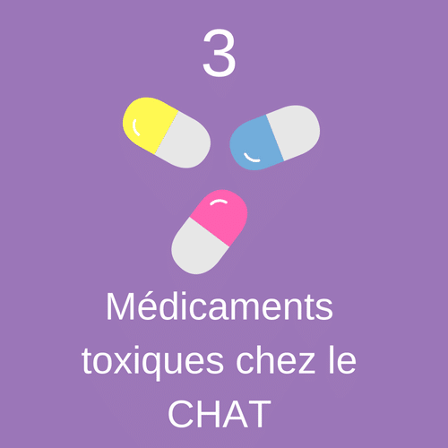 Image mise en avant 3 Médicaments toxiques pour le chat