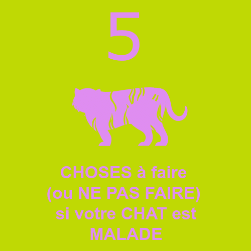 5 choses à faire (ou ne pas faire) si votre chat vous parait malade