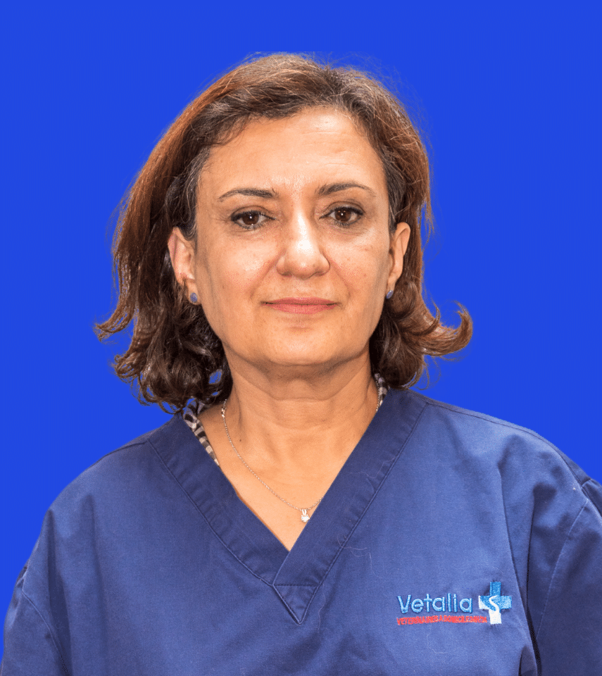 Vétérinaire d'urgence Aziza CHAIBI_2