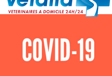 Covid-19 – Informations relatives au fonctionnement de Vetalia