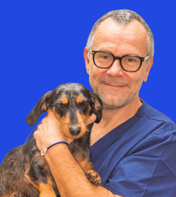 Veterinaire durgence Christophe LEDREF_2