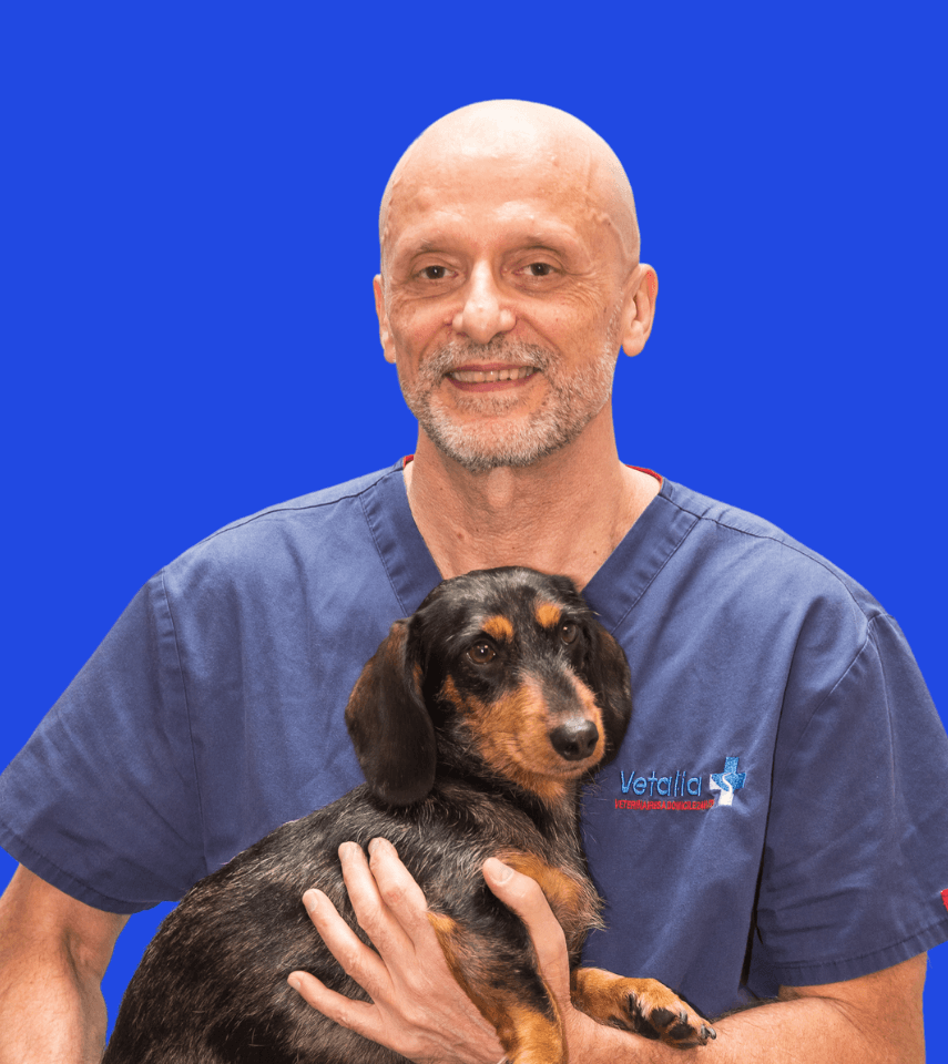 Veterinaire durgence Frederic Mottet 2