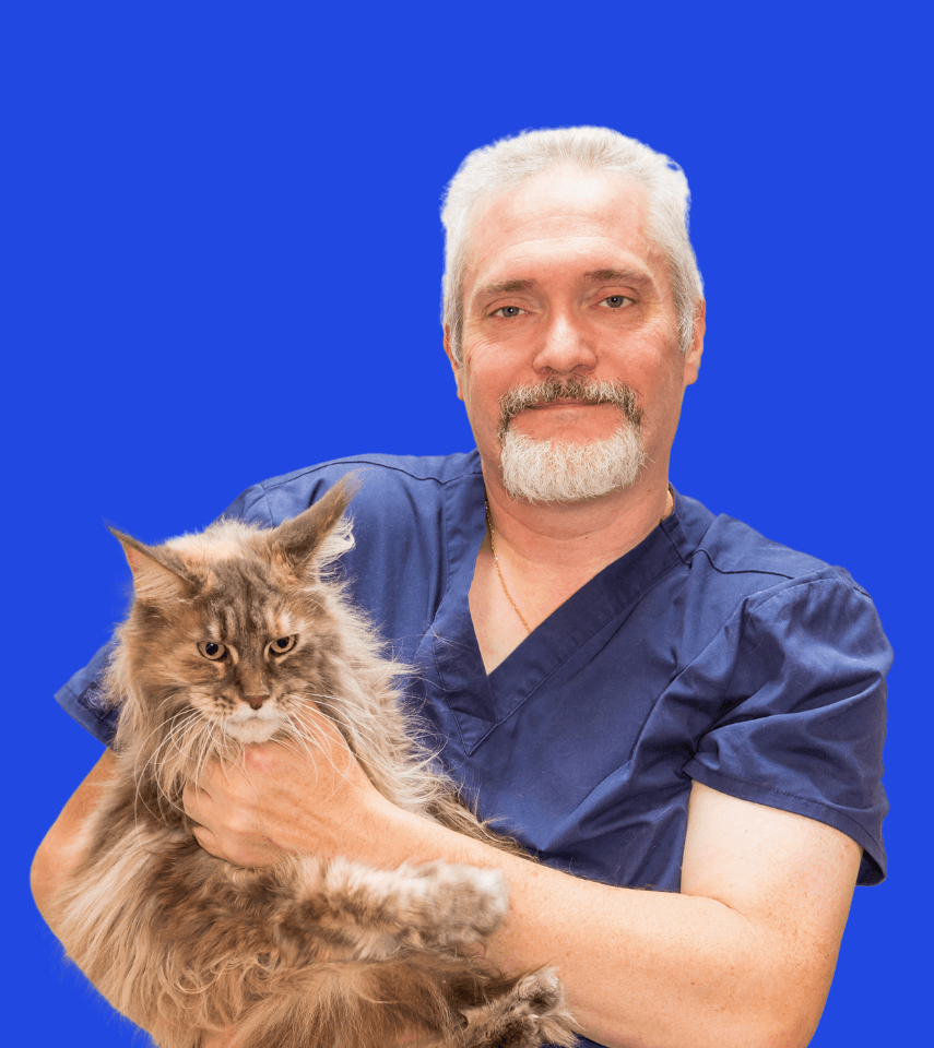 Veterinaire durgence Guillaume MARTIN