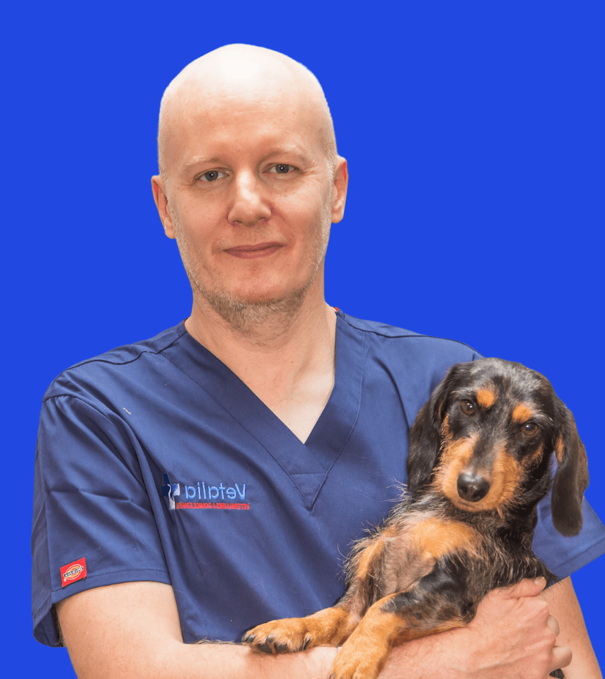 Veterinaire durgence Jean Marie Kerhoas 2