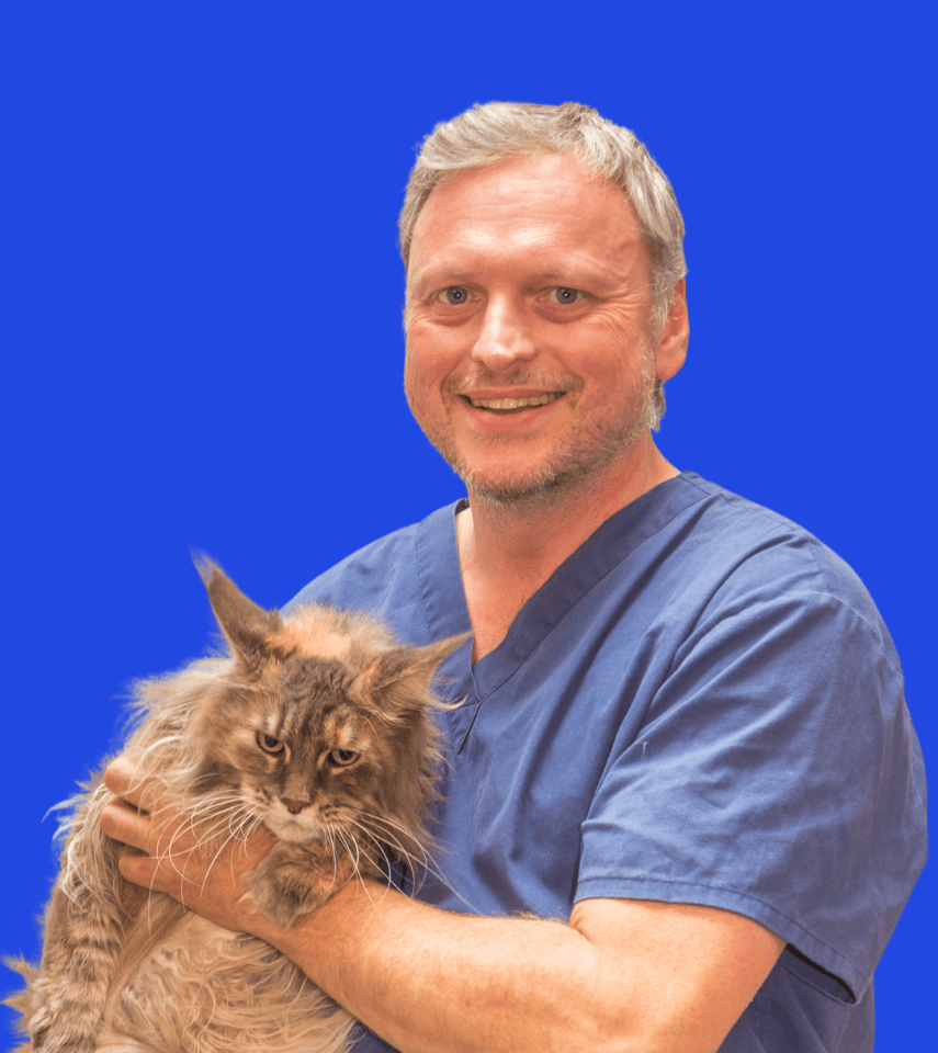 Veterinaire durgence Philippe EYNARD 2