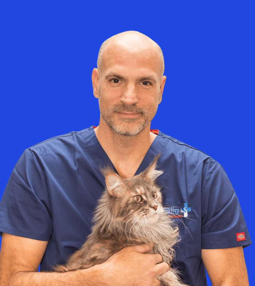 Veterinaire durgence Samuel BERNARD_2