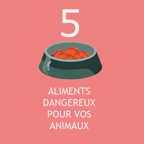 5 aliments dangereux pour votre animal de compagnie