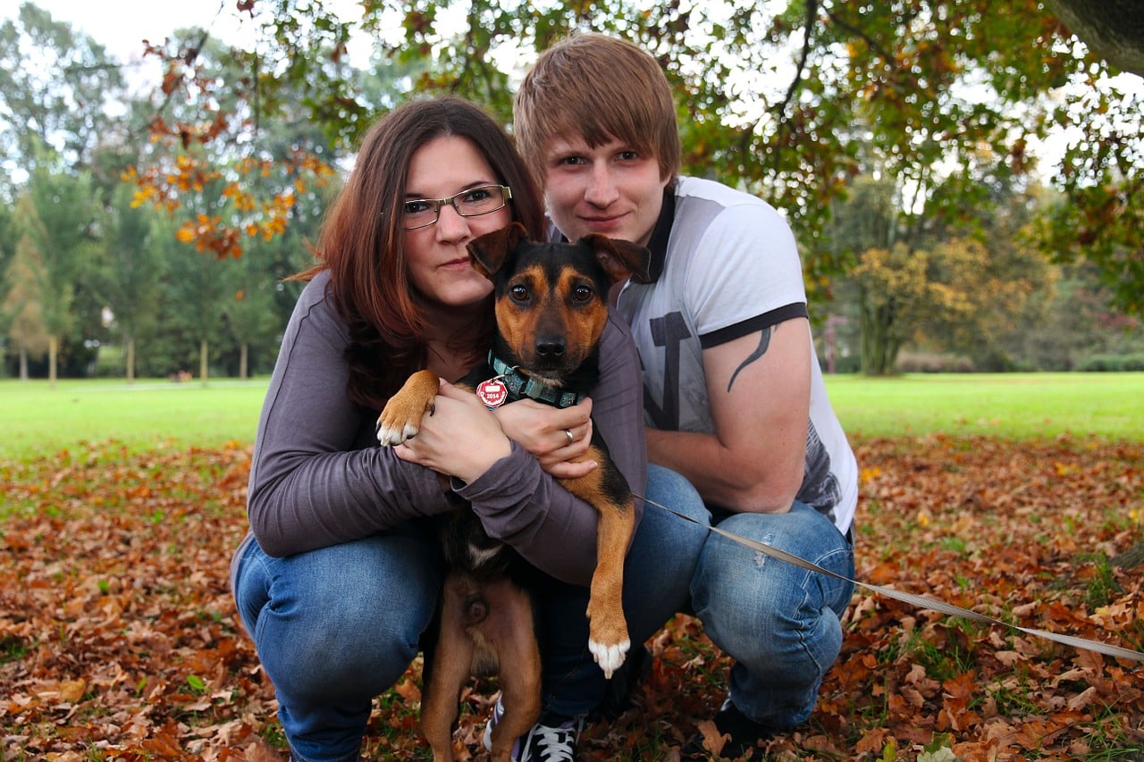 Mutuelle santé pour animaux de compagnie : pour quelles raisons ?